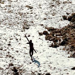 A member of the Sentinelese fires an arrow at a rescue helicopter as it flies over their island after the 2004 tsunami.
