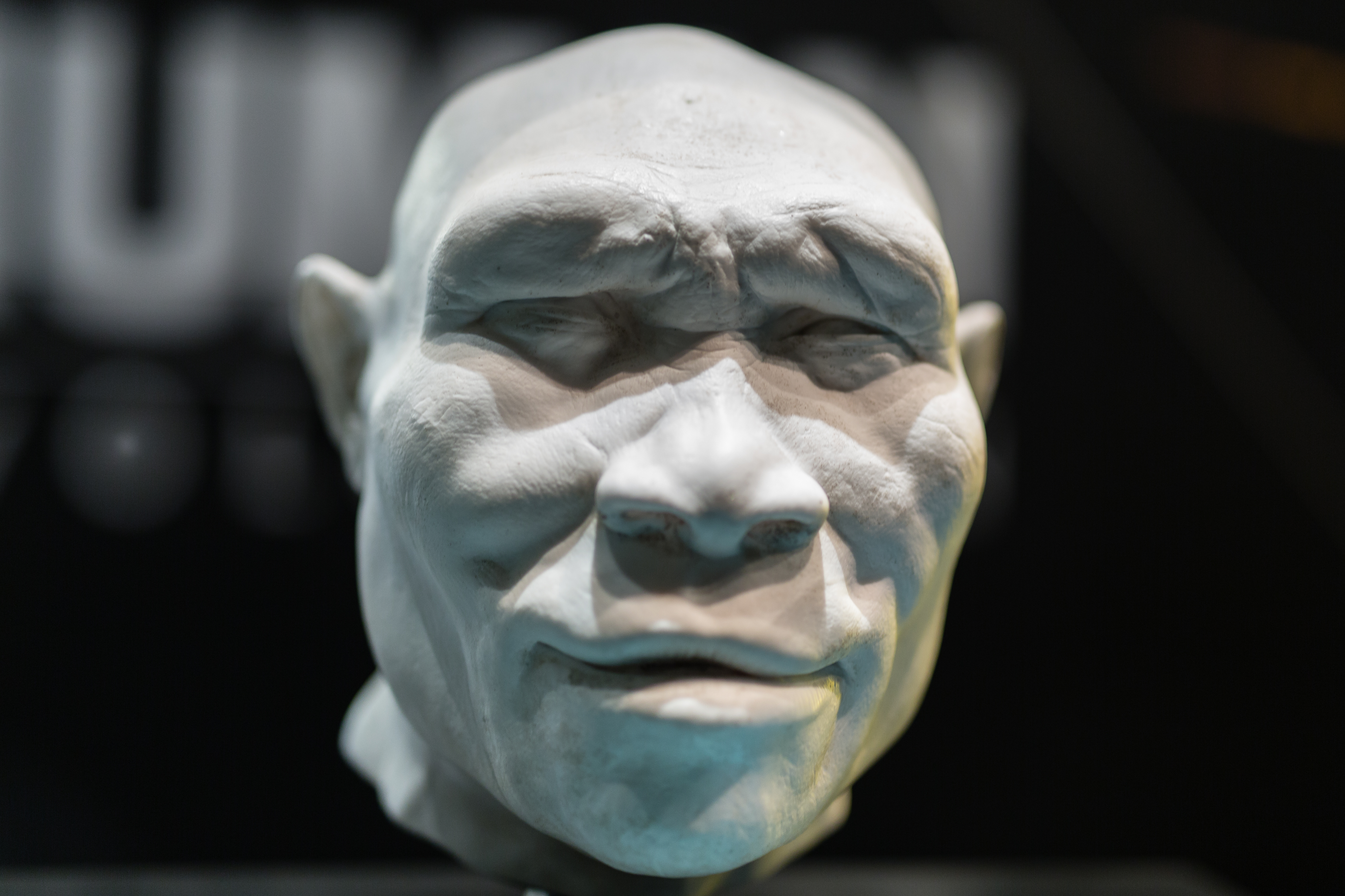 This isn't Shrek, this is a reconstruction of a Homo erectus adult male.  