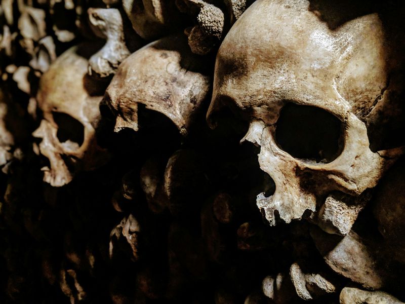 Skulls of human skeletons in a burial chamber.