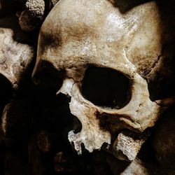 Skulls of human skeletons in a burial chamber.