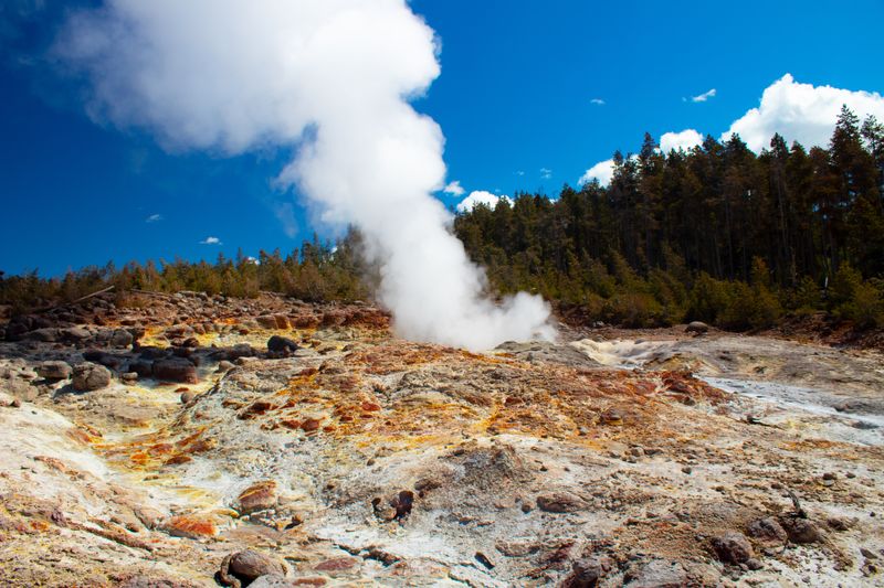 A rocky surface with a steaming geyser, trees are in the background