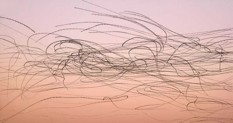 ombre sky from pale pink to orange, overlaid with criss-crossing swirling black lines that show the flight path of the common swift
