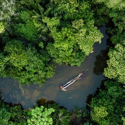 Aerial photo of river in amazon rainforest jungle in Peru