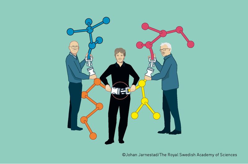 The drawing show the three winner clicking molecules together. Each molecule has a belt buckle kind of connection.