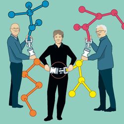 The drawing show the three winner clicking molecules together. Each molecule has a belt buckle kind of connection.