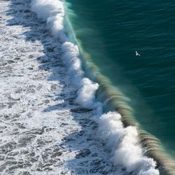 aerial shot of large wave breaking with lots of white spray; a small seabird is visible flying above it.