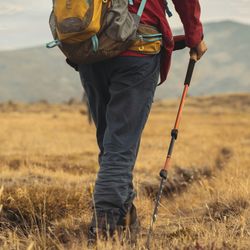 World's longest walkable route