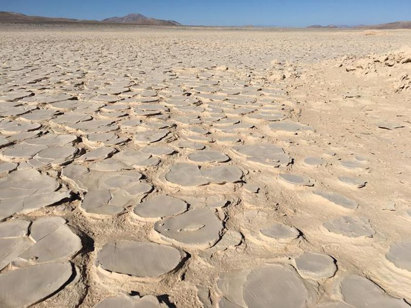 Yungay Playa in the Atacama Desert