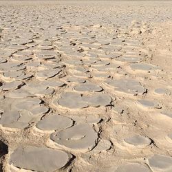Yungay Playa in the Atacama Desert
