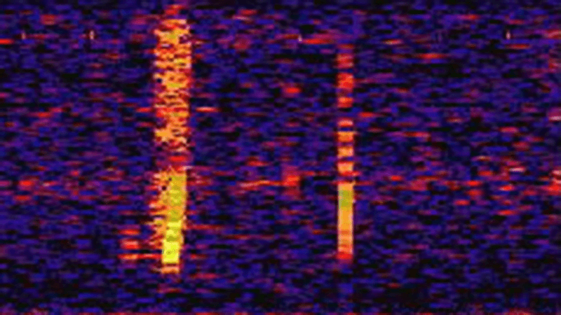 A spectrogram showing The Bloop.