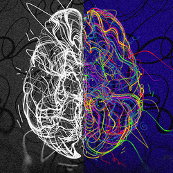 illustration of the brain, half is black and white and the other half is in color