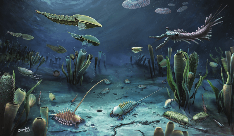 Life on the platform margin of the Miaolingian sea, North China. Based on data from the Linyi Lagerstätte. Drawing by Dinghua Yang.