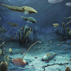 Life on the platform margin of the Miaolingian sea, North China. Based on data from the Linyi Lagerstätte. Drawing by Dinghua Yang.