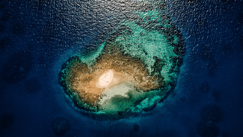 Cayos Cochinos Honduras coral reef.