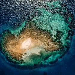 Cayos Cochinos Honduras coral reef.