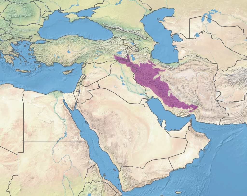 Map showing The Persian Plateau (aka the Iranian Plateau) is located to east of the Zagros Mountains (shown in purpley pink). Map showing The Persian Plateau (aka the Iranian Plateau) is located to east of the Zagros Mountains (shown in purpley pink).