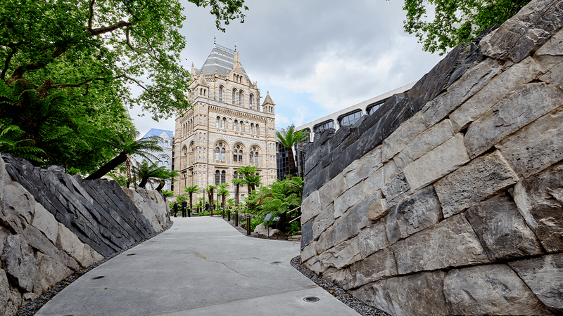 Photograph of the Evolution garden, with huge slabs of rocks on either side, palms and tree ferns visible and the Natural History Museum building in the background.