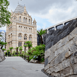 Photograph of the Evolution garden, with huge slabs of rocks on either side, palms and tree ferns visible and the Natural History Museum building in the background.