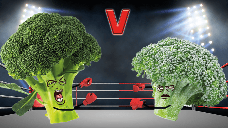 Fresh vs frozen broccoli fighting in a boxing ring