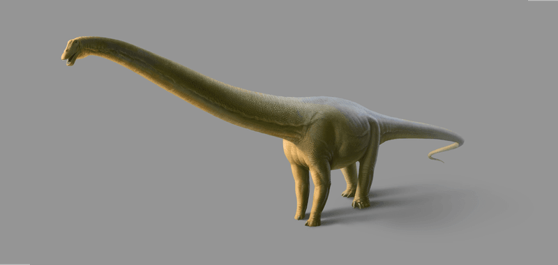 Gnatalie the green-boned dinosaur reconstruction