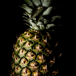 a pineapple on a black background