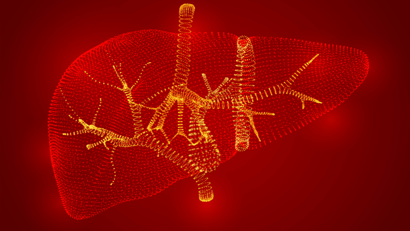 liver 100 years