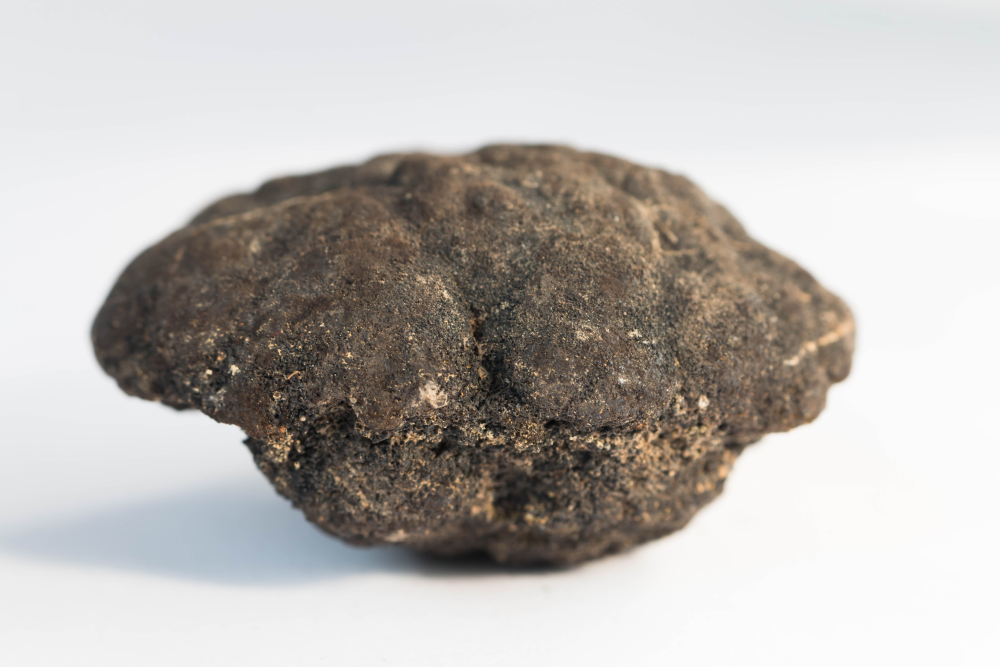 a deep sea manganese nodule a deep sea manganese nodule
