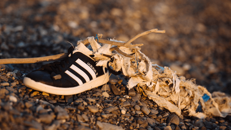 a black sneaker washed ashore on a beach