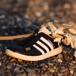 a black sneaker washed ashore on a beach