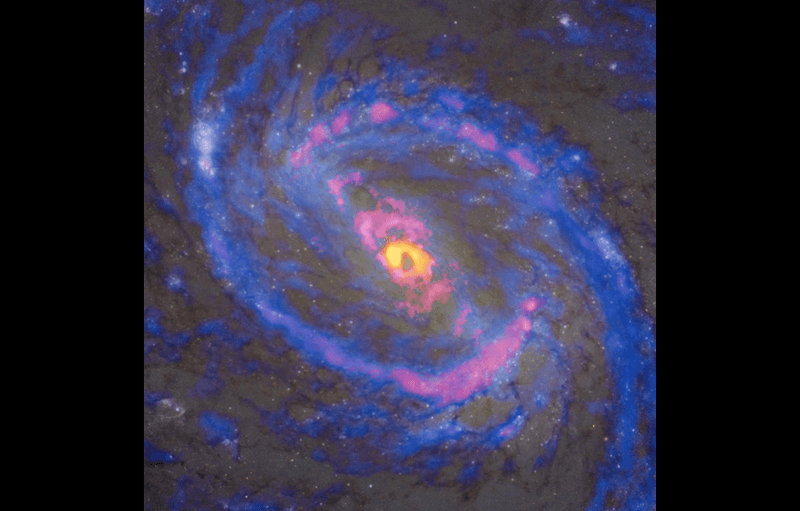 The spiral galaxy Messier 77 as observed by ALMA and Hubble. Hydrogen cyanide isotopes (H13CN), shown in yellow, are found only around the black hole at the center. Cyanide radicals (CN), shown in red, follows the bipolar jets. Carbon monoxide isotopes (13CO are in blue 