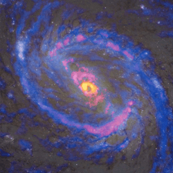 The spiral galaxy Messier 77 as observed by ALMA and Hubble. Hydrogen cyanide isotopes (H13CN), shown in yellow, are found only around the black hole at the center. Cyanide radicals (CN), shown in red, follows the bipolar jets. Carbon monoxide isotopes (13CO are in blue 