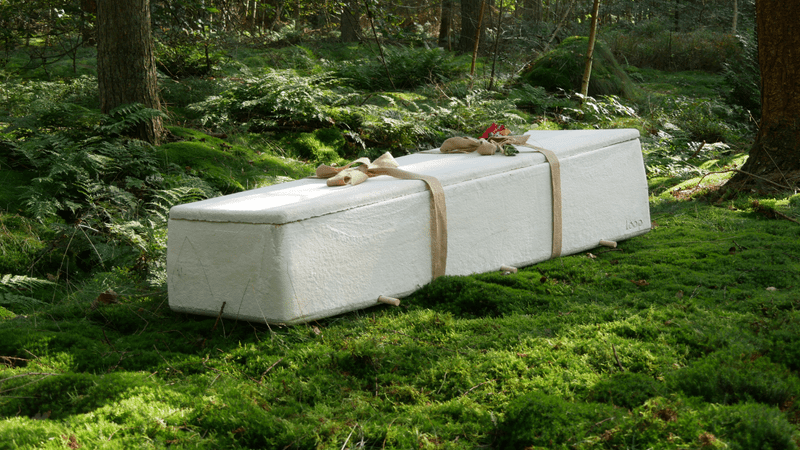 living coffin