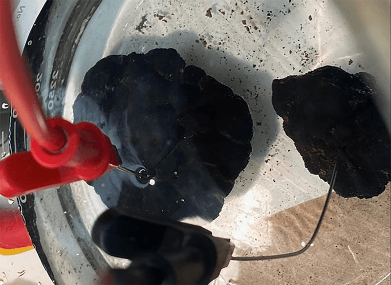 Polymetallic nodules, collected from the ocean floor, sit in simulated seawater in chemist Franz Geiger's laboratory to test their capacity to produce electricity and oxygenat Northwestern University