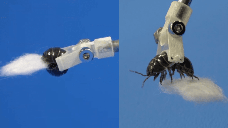 pill bug robot arm