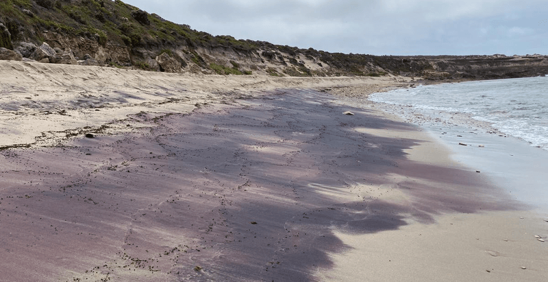 The pink sands on a beach at on a beach in Dhilba Guuranda-Innes National Park, Yorke Peninsula are caused by garnet, and the source tells a story