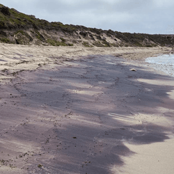 The pink sands on a beach at on a beach in Dhilba Guuranda-Innes National Park, Yorke Peninsula are caused by garnet, and the source tells a story
