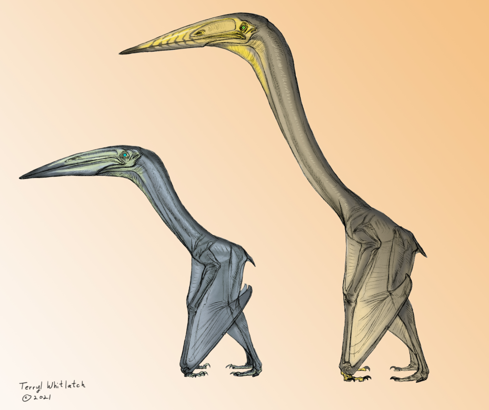 Inabtanin alarabia VS Arambourgiania philadelphiae, AKA, flapping VS soaring. Inabtanin alarabia VS Arambourgiania philadelphiae, AKA, flapping VS soaring.