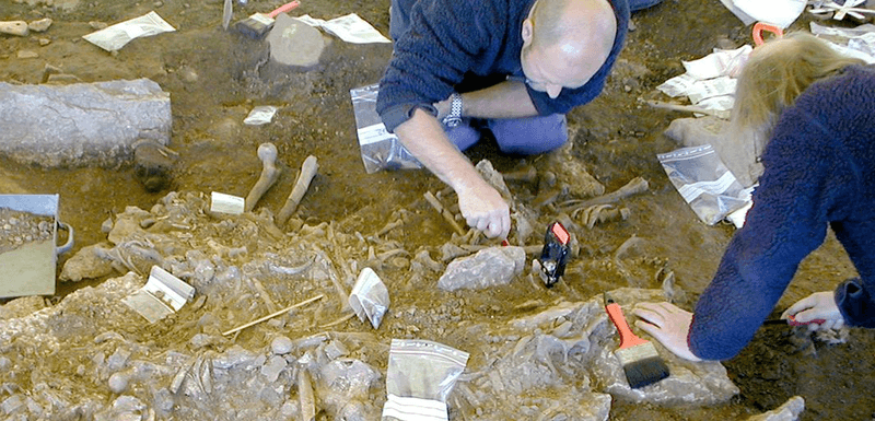 Excavation of the Frälsegården passage grave. Many of the bodies found there dating from 5,000 years ago, had traces of bubonic plague.