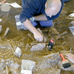 Excavation of the Frälsegården passage grave. Many of the bodies found there dating from 5,000 years ago, had traces of bubonic plague.