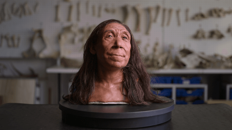 Shanidar Neanderthal woman face