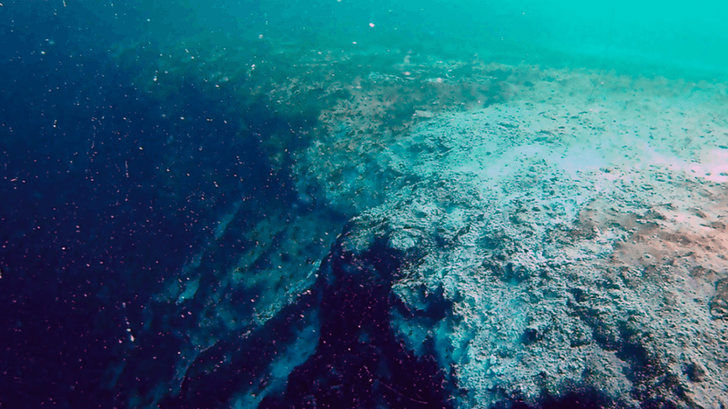 a drop off at the edge of taam ja blue hole in Mexico