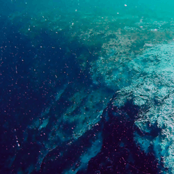 a drop off at the edge of taam ja blue hole in Mexico