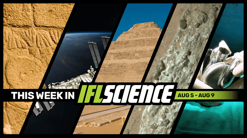 All the biggest science news stories of the week.