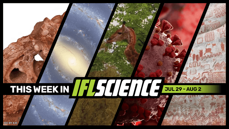 All the biggest science news stories of the week.