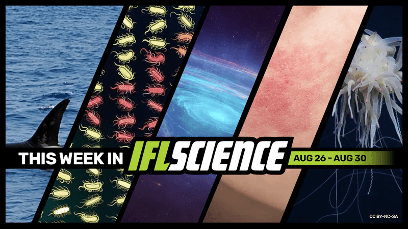 All the biggest science news stories of the week.
