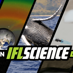 All the biggest science news stories of the week.
