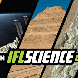All the biggest science news stories of the week.