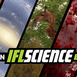 All the biggest science news stories of the week.