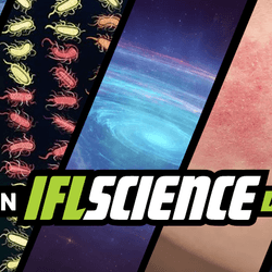All the biggest science news stories of the week.