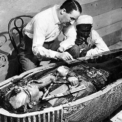 tutankhamun tomb curse fungus